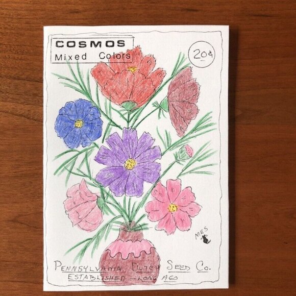 Blank Note Cards Hand Sketched PA Folk Art Country Saturday Night Peace Cosmos - Picture 5 of 10